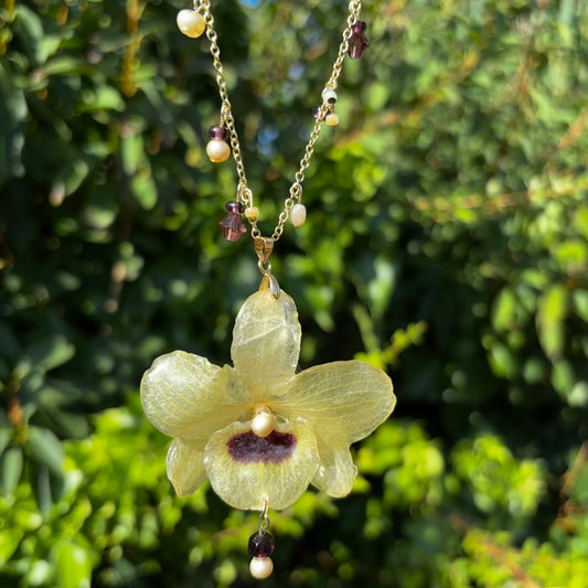 Sundrop Flower