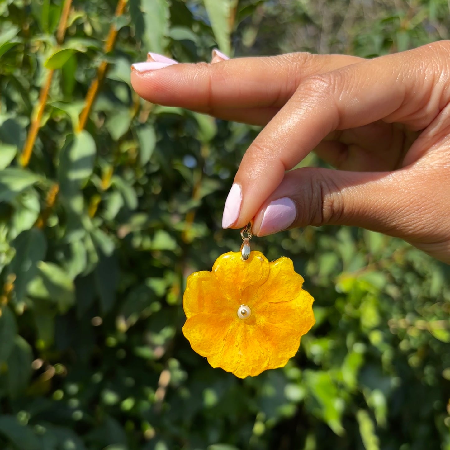 Marigold